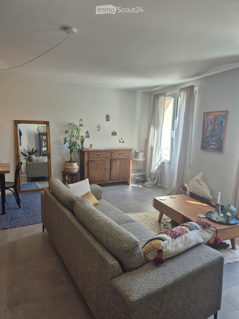 Appartement 1,5 Zimmer 50m2 (1)