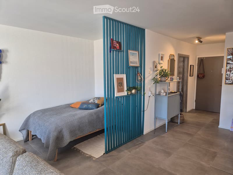 Appartement 1,5 Zimmer 50m2 (4)
