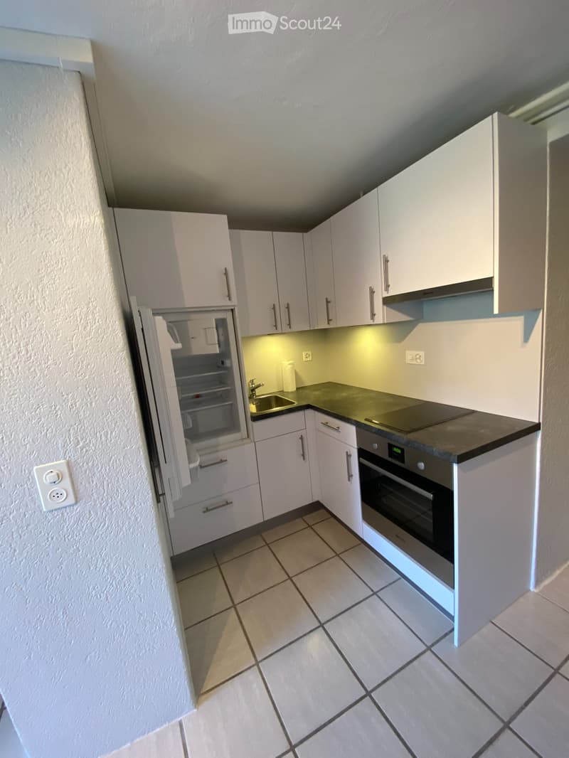 Studio apartment with outdoor seating - available for rent immediately (4)