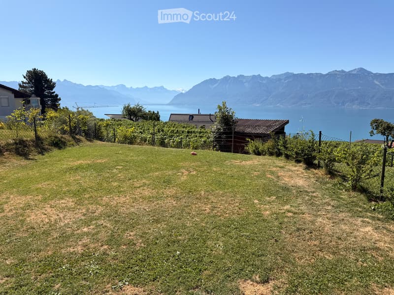 Prachtvolles 3.5-Zieler mit Terrasse/Garten und Seeblick (3)