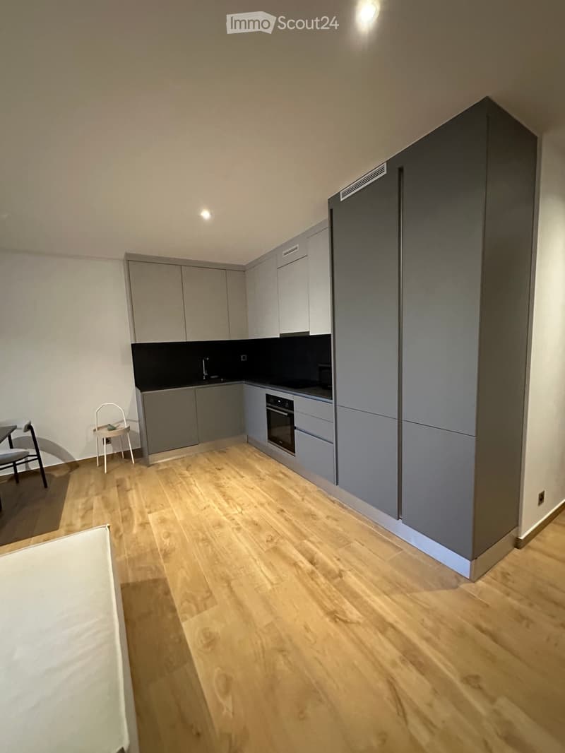Appartement Cologny - 1 chambre - garage - terrasse (1)