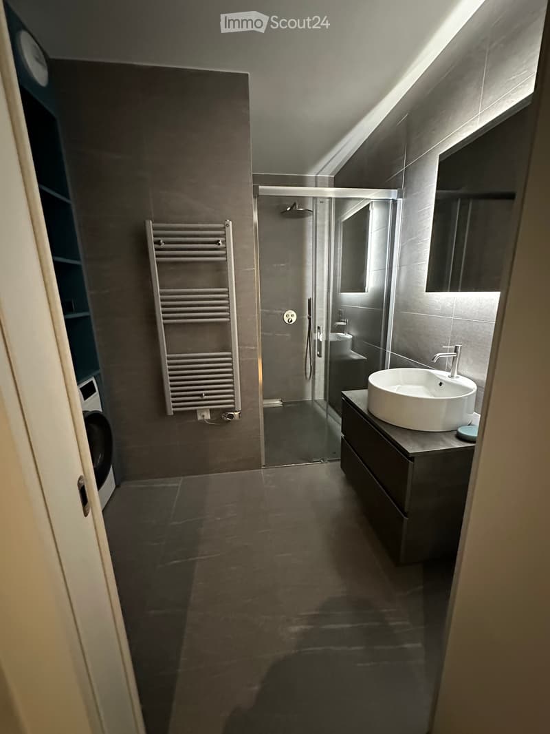Appartement Cologny - 1 chambre - garage - terrasse (4)
