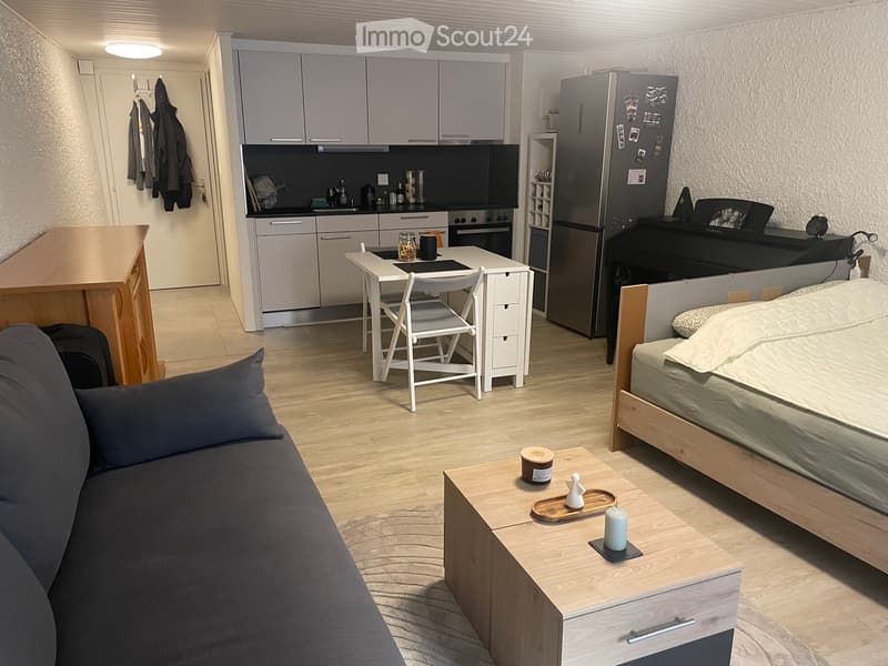 Studio ~30 m² - Neuchâtel City Centre - Available from mid-August (3)