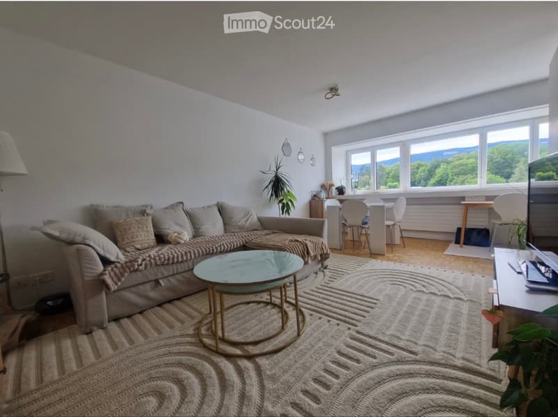 Wohnung 3,5 Zimmer (1)