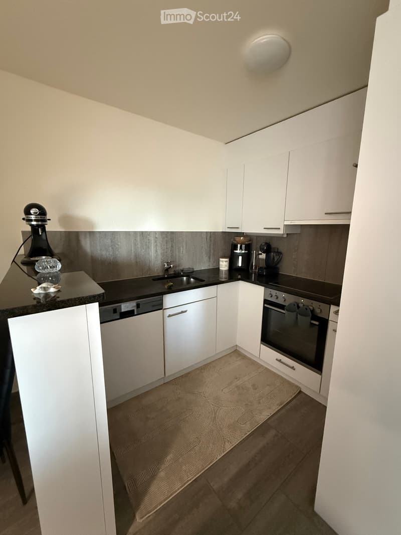 Takeover of lease on 16.08.2026 and furniture for sale (3)