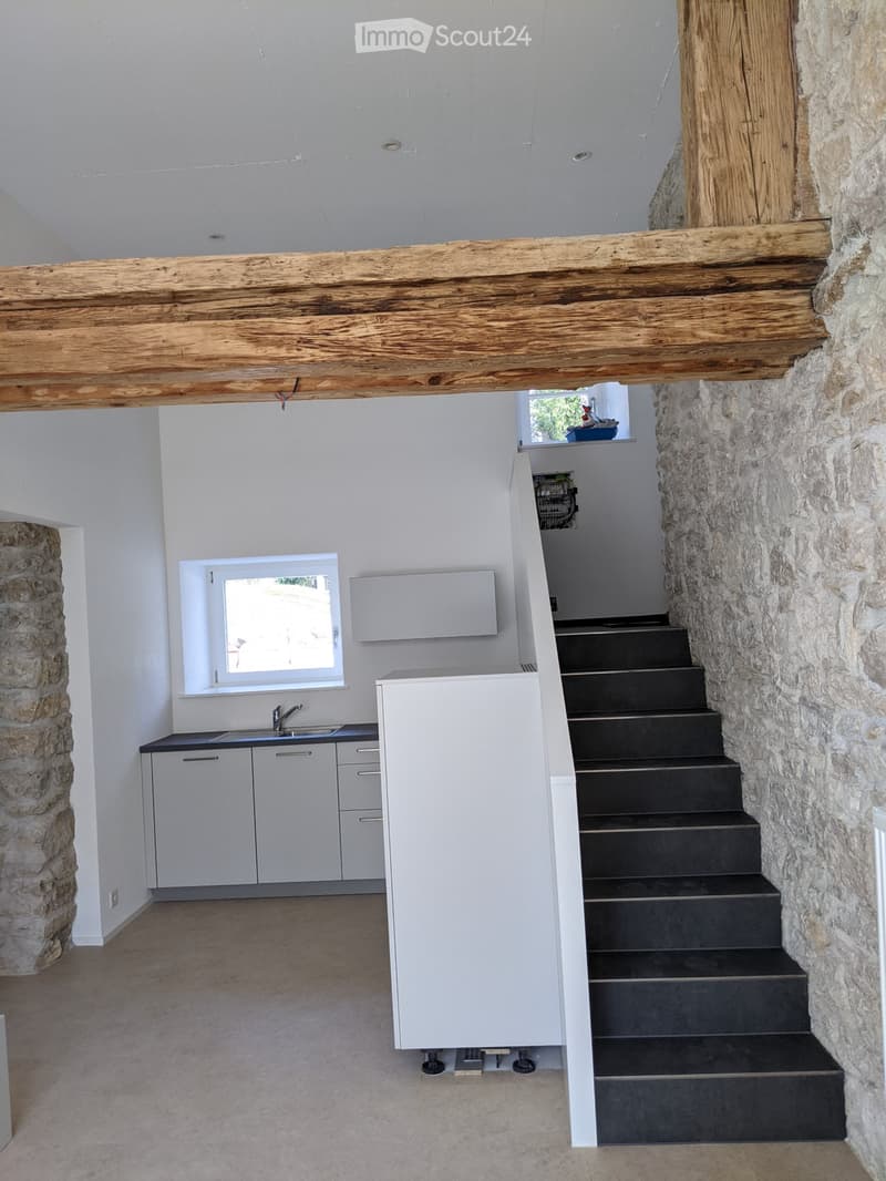 Appartamento 1,5 locali, atipico, nel centro di Delémont (1)