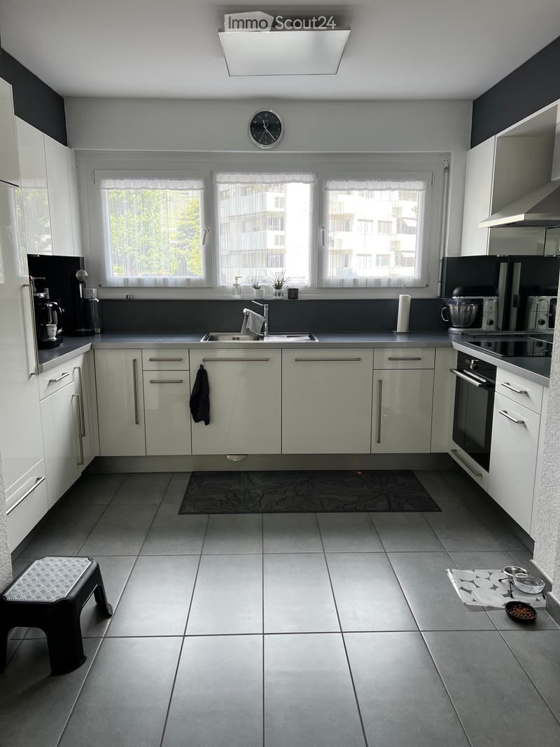 Wohnung 4.5p (3)