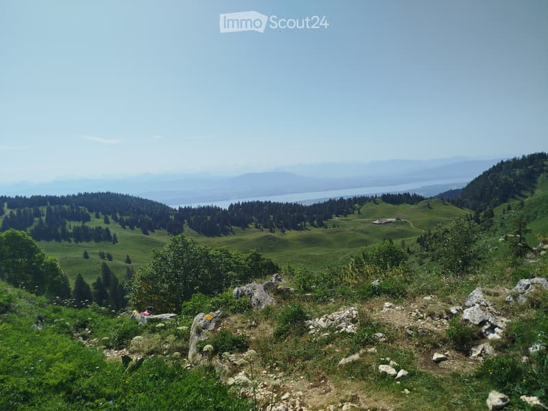 Schönes Chalet ohne Renovierungsbedarf in der Nähe des Dorfes (1)