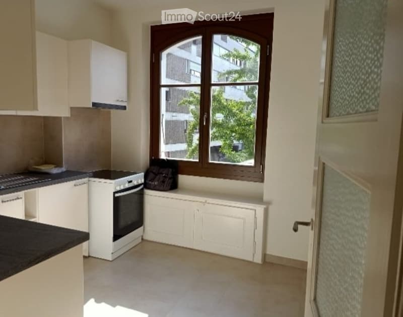 Charmant appartement à louer à Carouge (1)