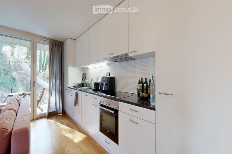 Beautiful 2.5-room modern apartment with terrace (2)