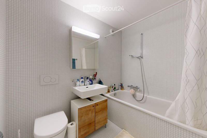 Beautiful 2.5-room modern apartment with terrace (4)