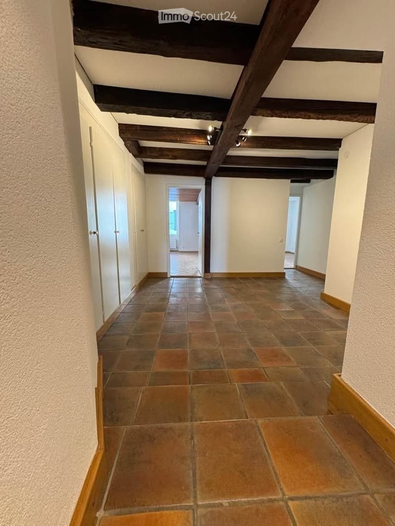 magnifique appartement - 4.5 pièces - Vue lac -Bord de l'eau (5)