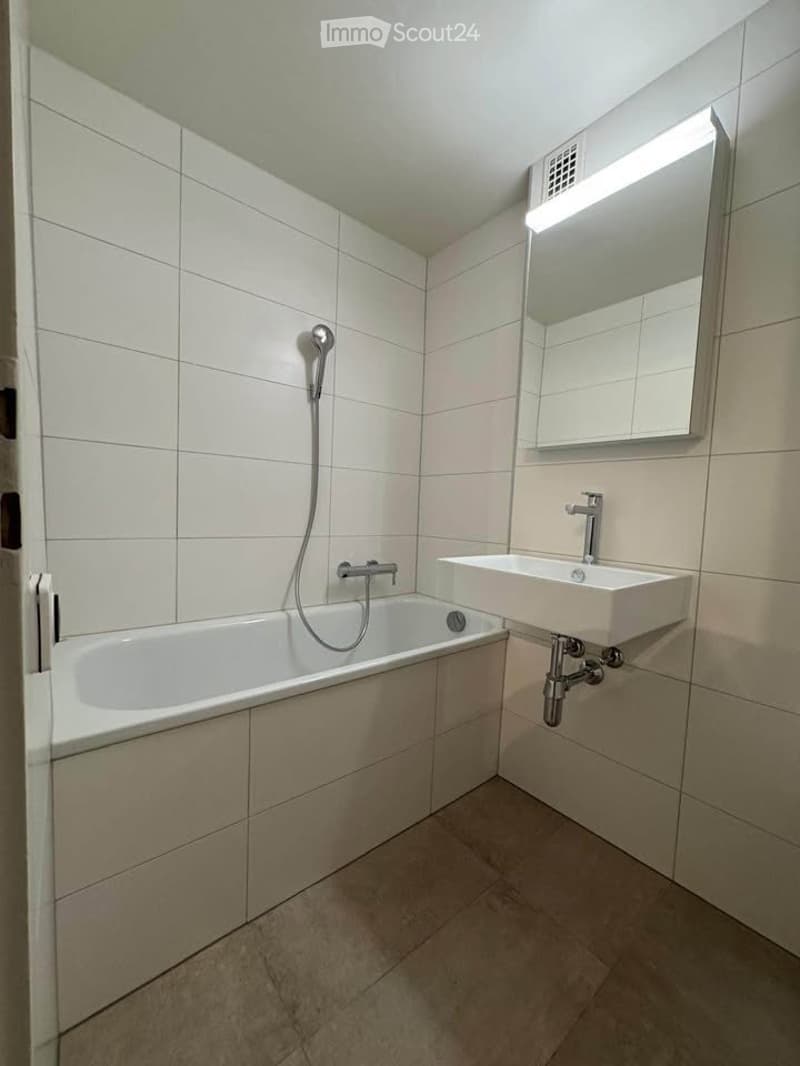 magnifique appartement - 4.5 pièces - Vue lac -Bord de l'eau (8)