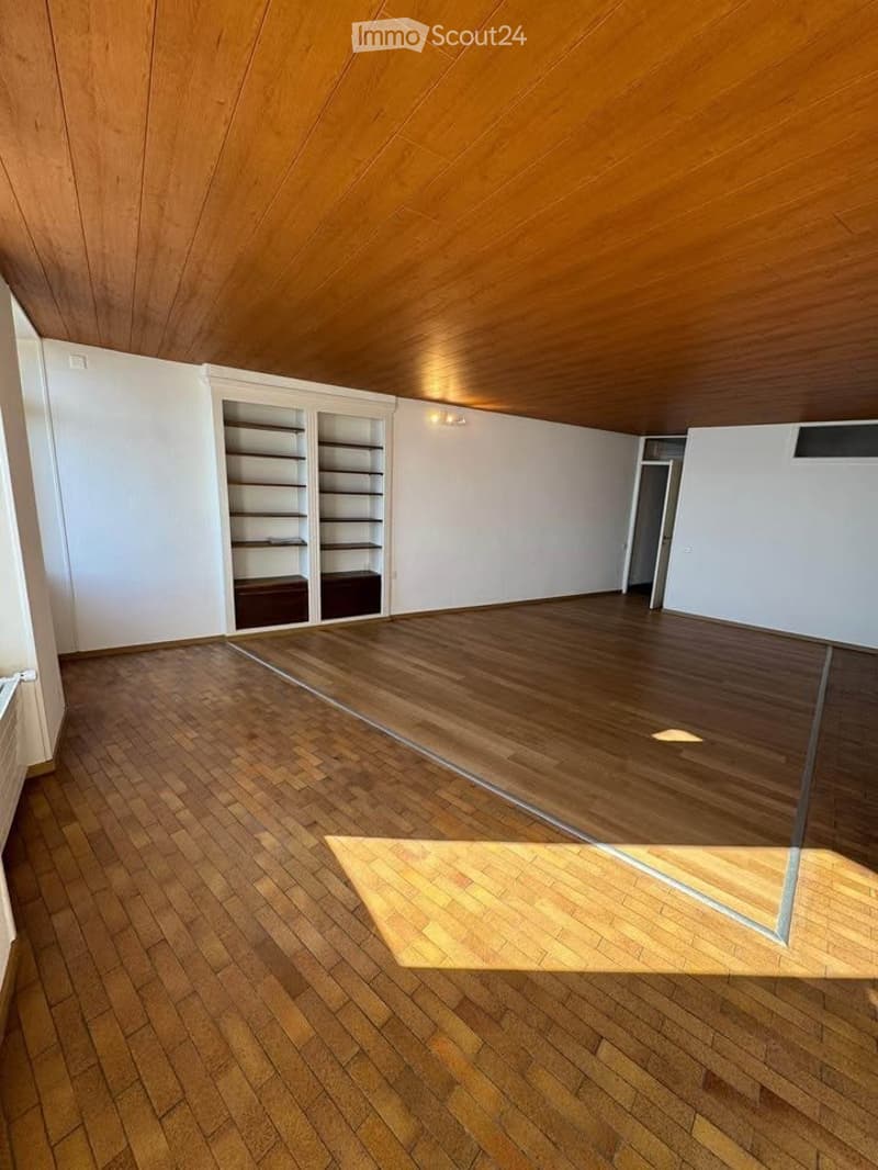 magnifique appartement - 4.5 pièces - Vue lac -Bord de l'eau (2)