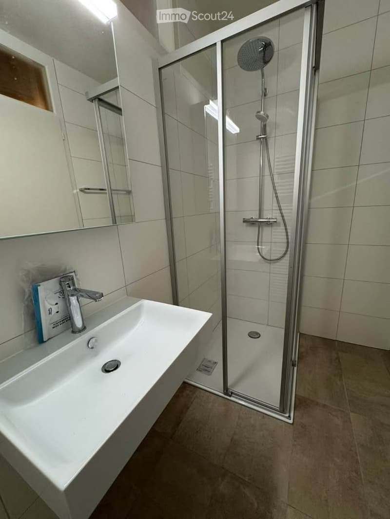 magnifique appartement - 4.5 pièces - Vue lac -Bord de l'eau (10)