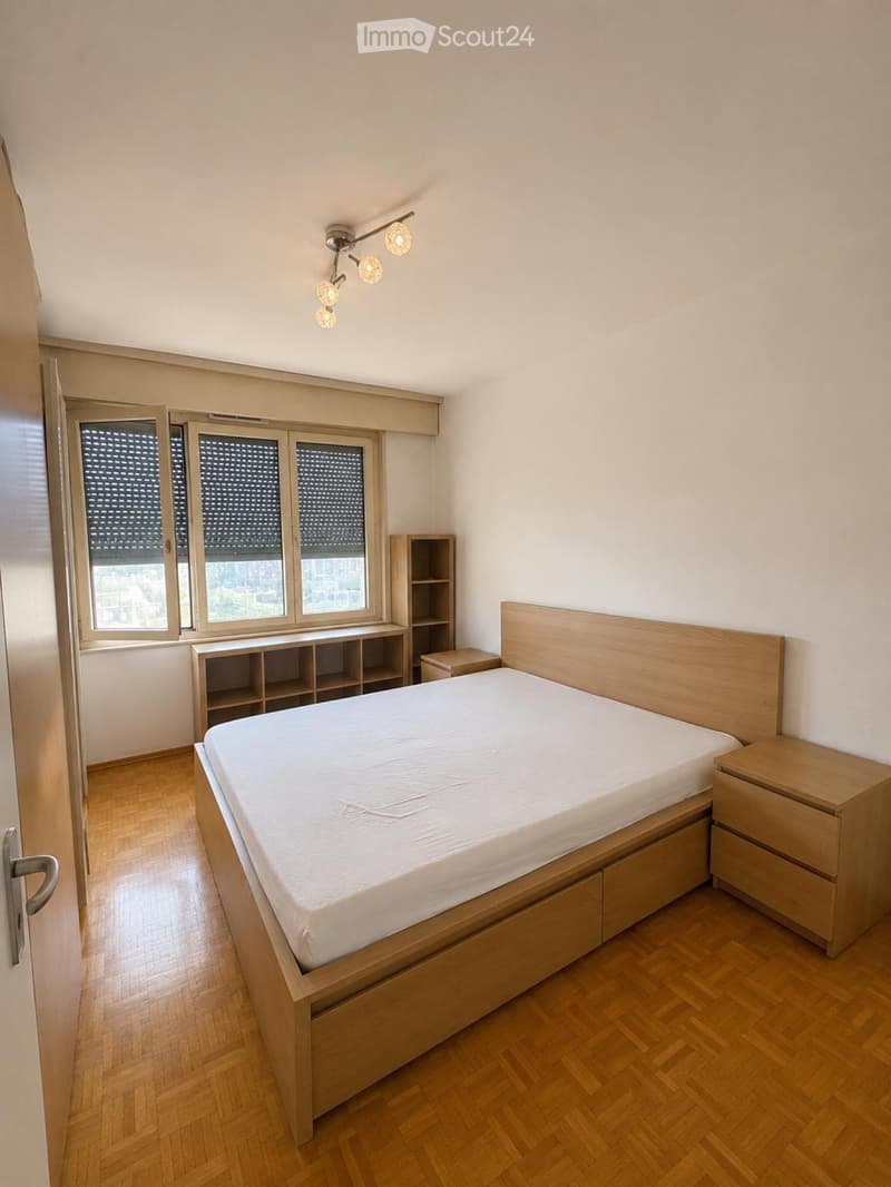 Appartement 5 pièces à louer - Grand-Lancy (3)