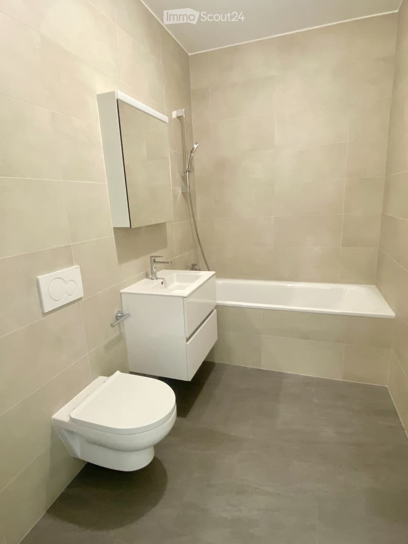 Sion New 33 m² studio with private lawn (3)