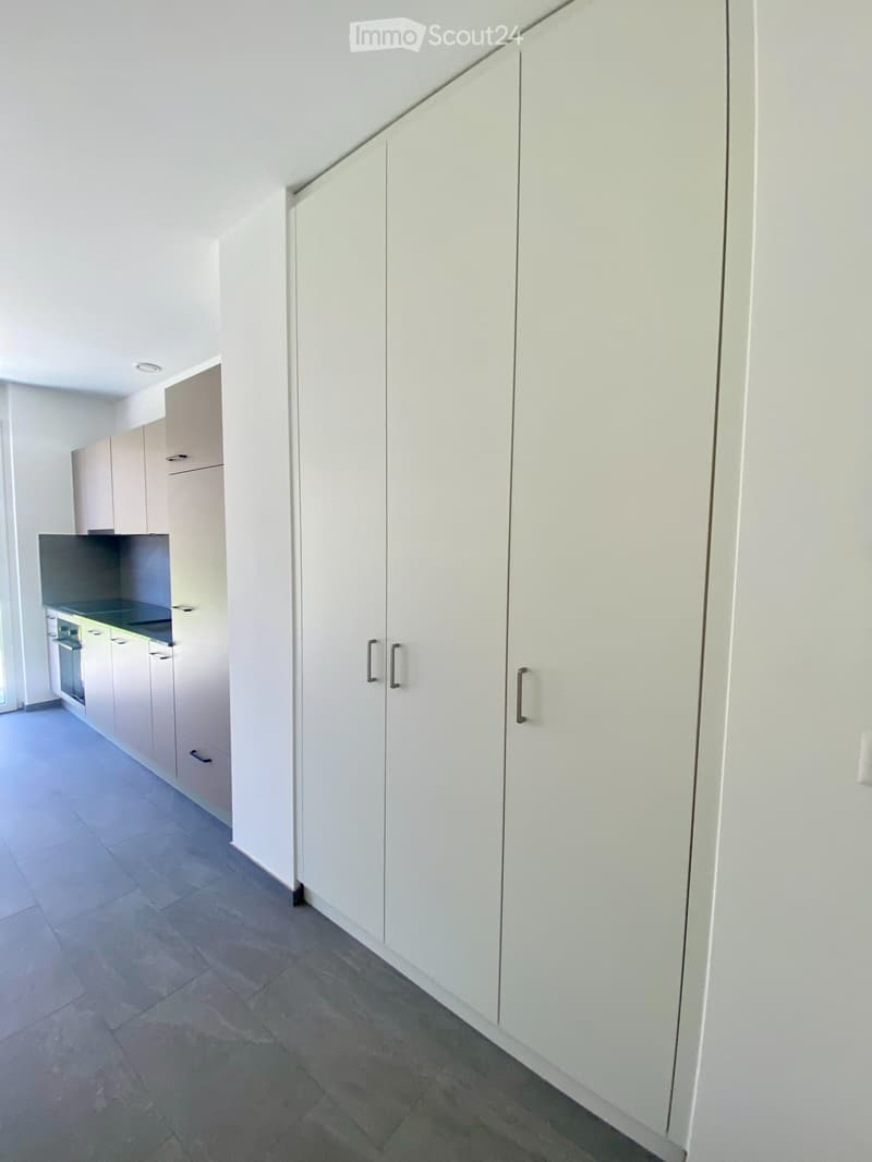 Sion New 33 m² studio with private lawn (4)
