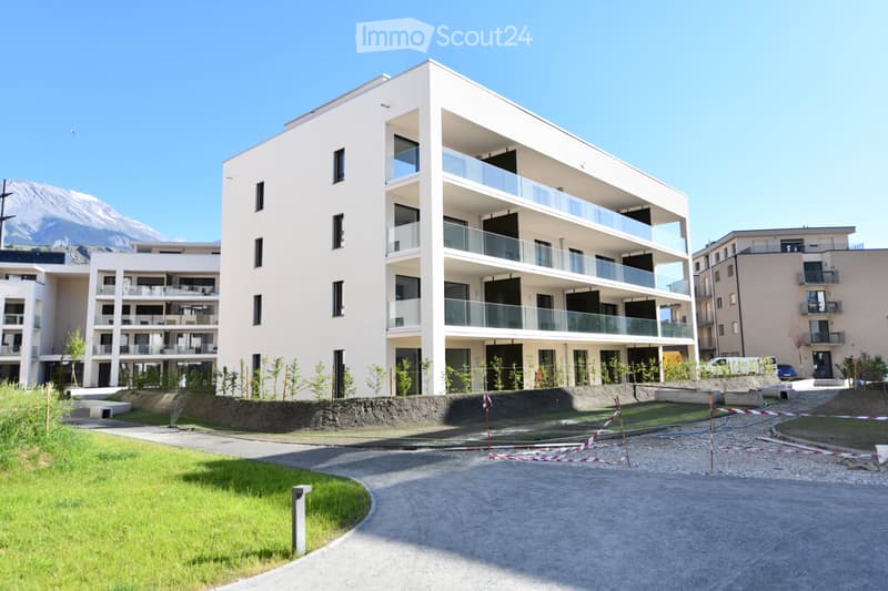 Sion New 33 m² studio with private lawn (1)