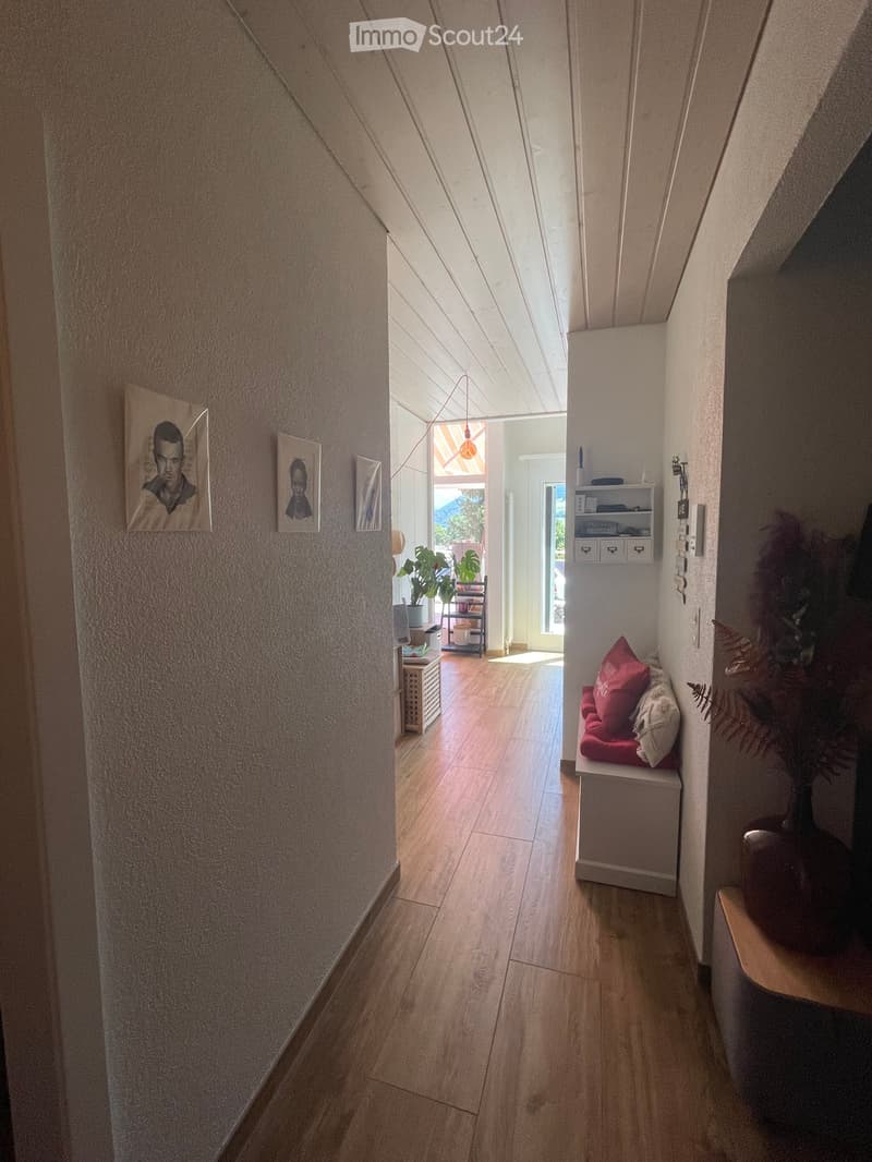 Un Magnifique Attique de165m2 (5)