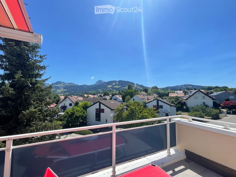 Un Magnifique Attique de165m2 (1)