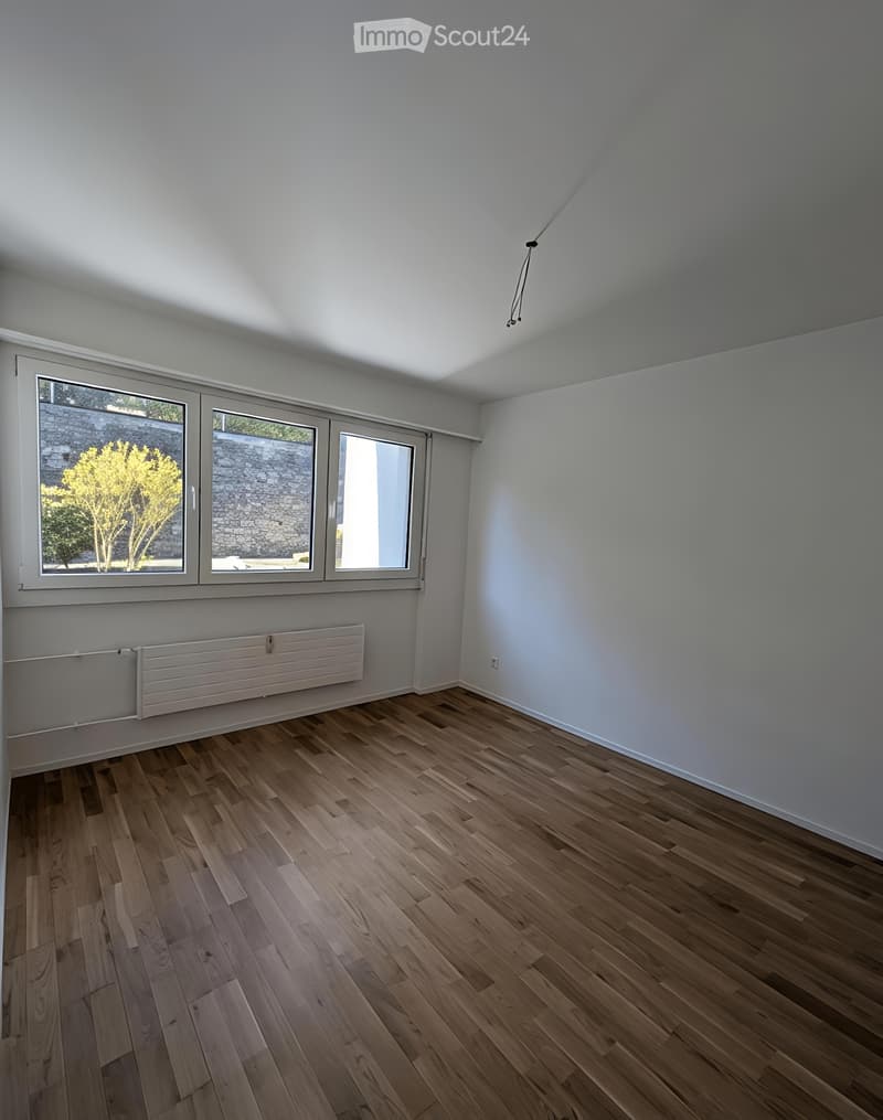 Appartement de 3,5 pièces rénové à neuf à Biel (3)
