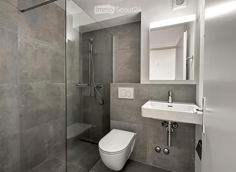 Appartement de 3,5 pièces rénové à neuf à Biel (4)