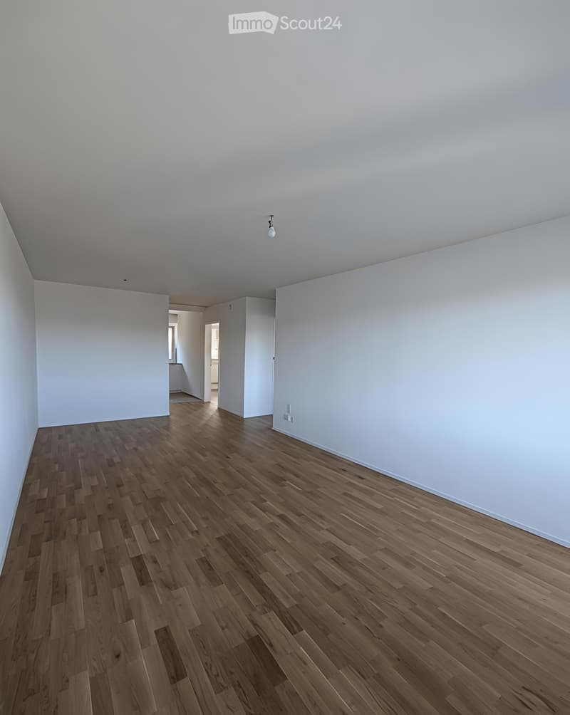 Appartement de 3,5 pièces rénové à neuf à Biel (5)