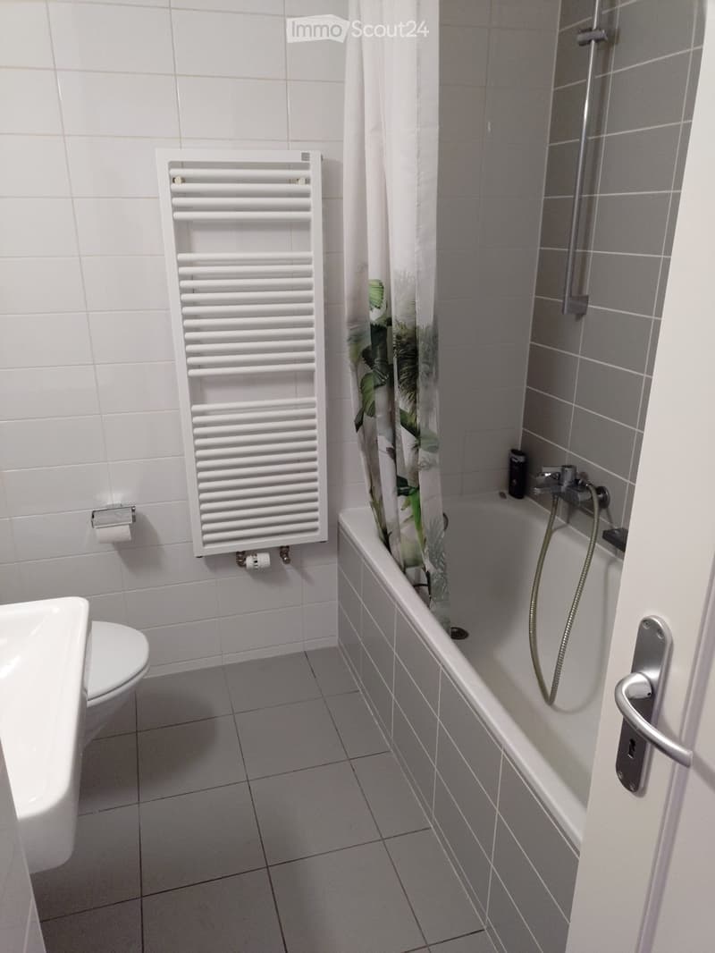 Studio for rent from September 1st (5)