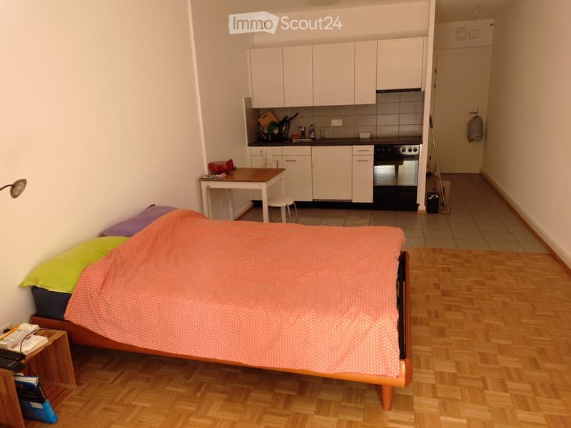 Studio for rent from September 1st (1)