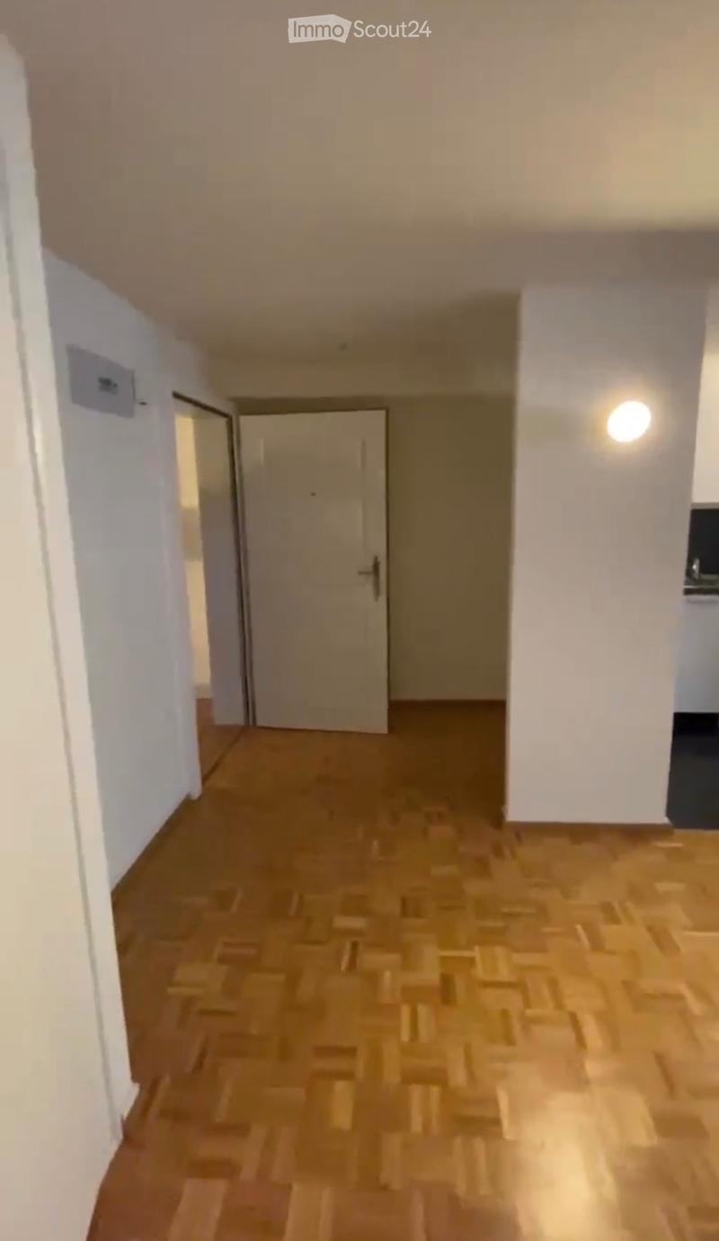 Großes Studio im Herzen von Lausanne (3)