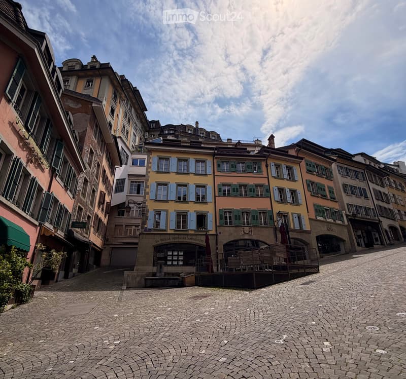 Großes Studio im Herzen von Lausanne (5)