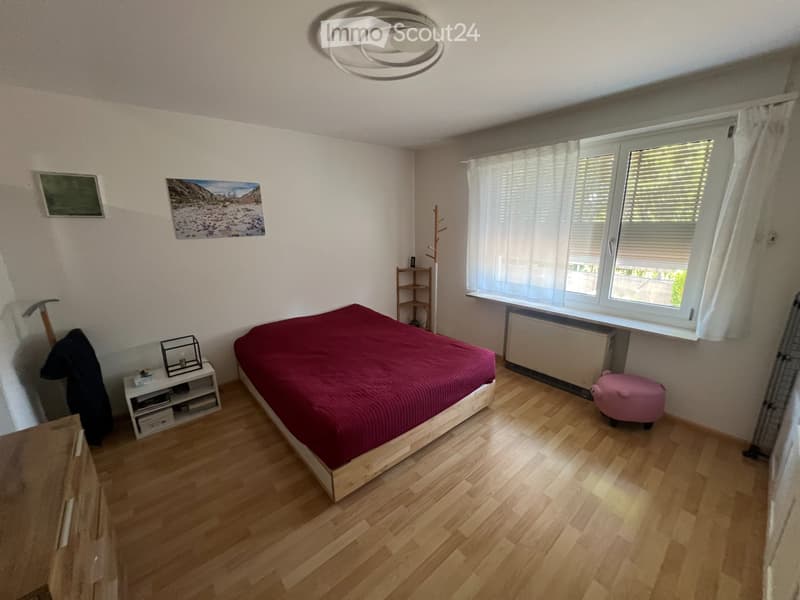Attique avec vaste terrasse panoramique aux portes de Bâle (3)