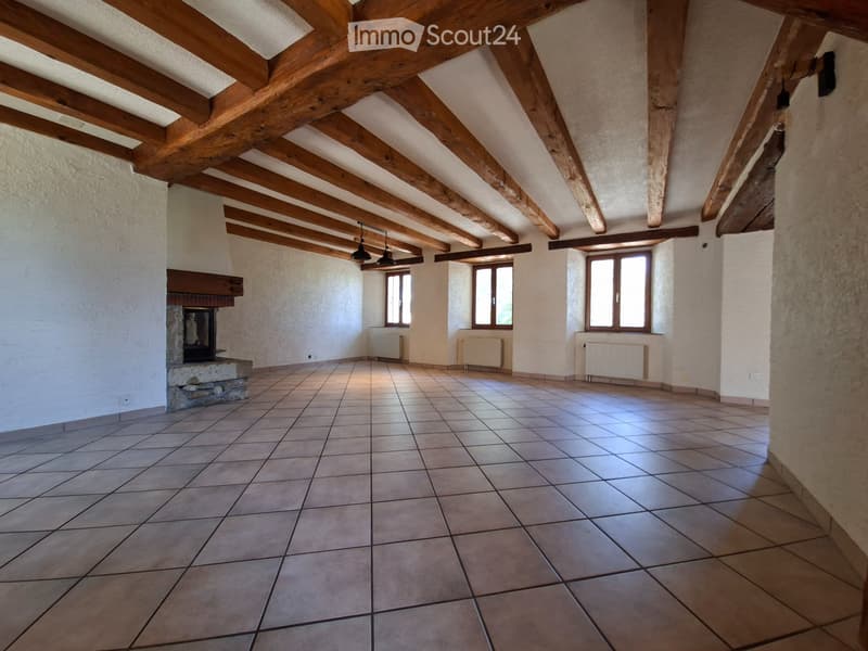 Appartement Duplex (2)