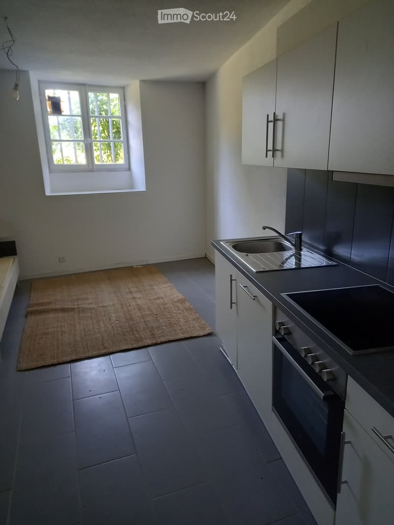 Joli studio de plain-pied au centre d'Yverdon (1)