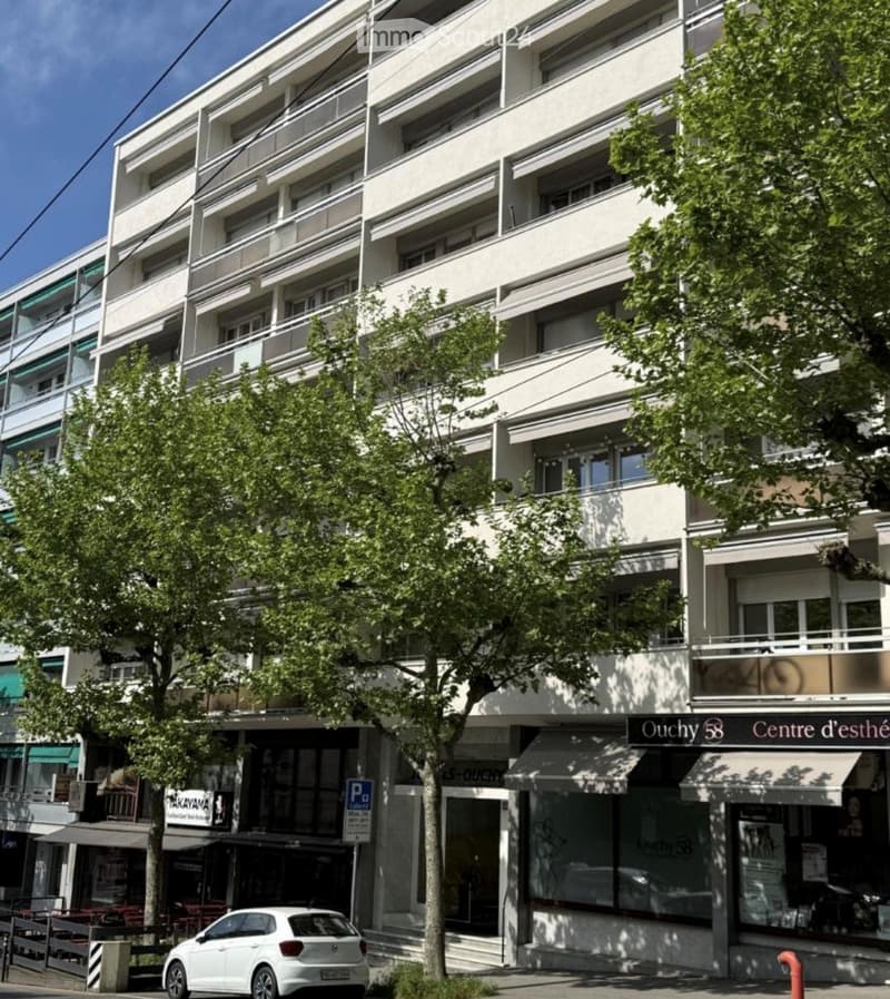 Großes 1.5-Zimmer-Wohnung möbliert - Lausanne-Ouchy (4)