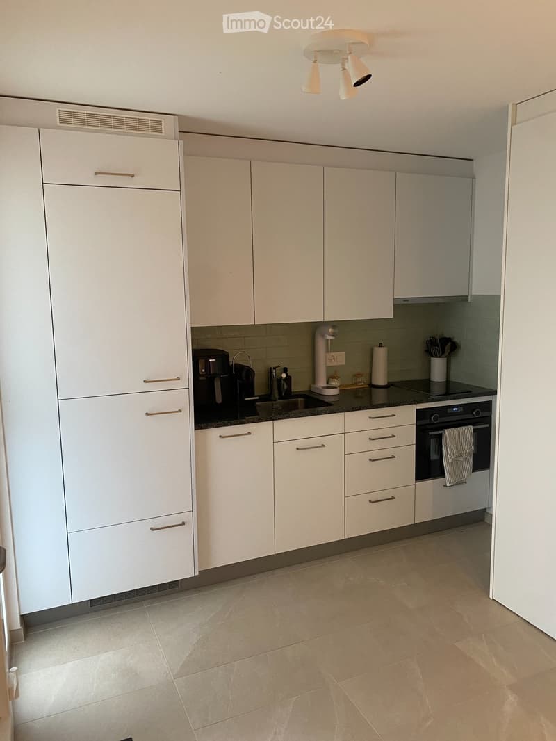 Charmant appartement neuf de 2 pièces à Leytron, Valais (3)