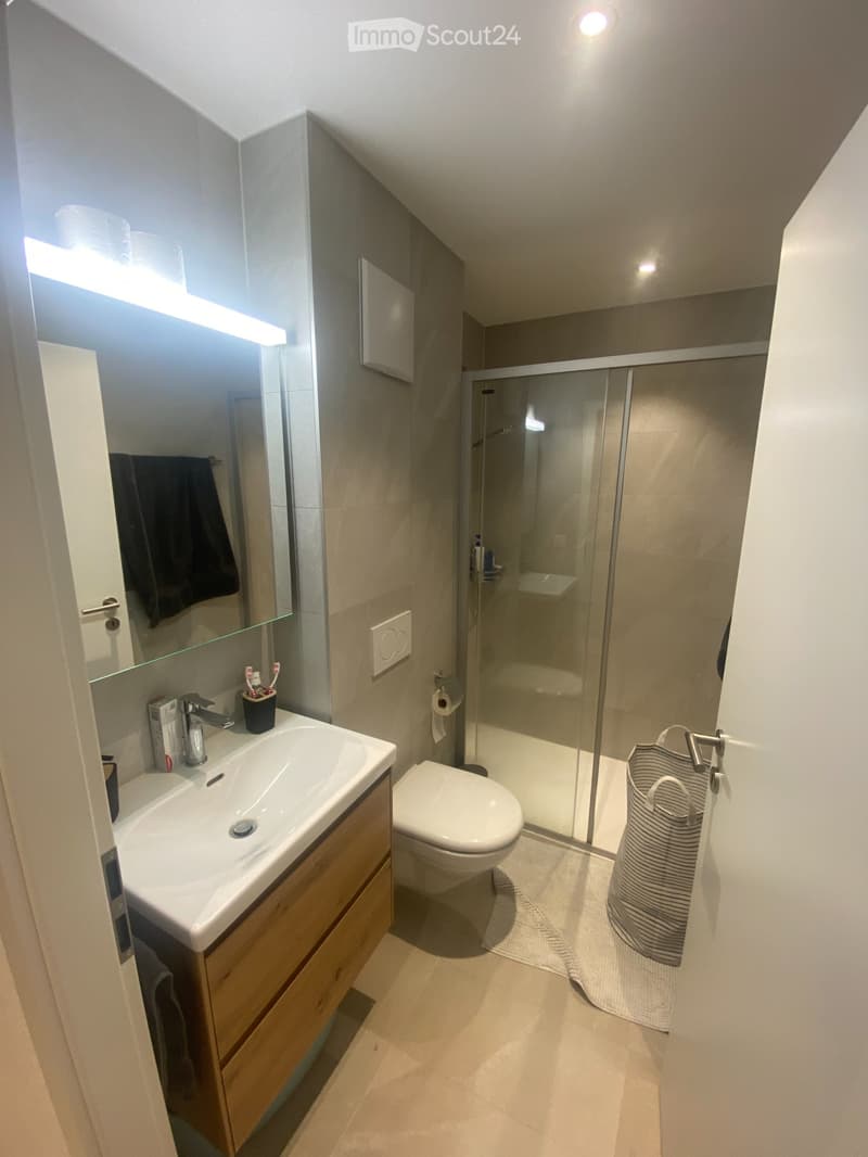 Charmant appartement neuf de 2 pièces à Leytron, Valais (5)