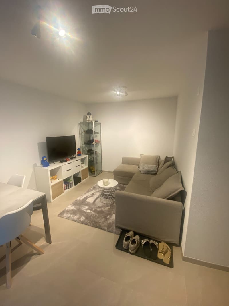Charmant appartement neuf de 2 pièces à Leytron, Valais (1)