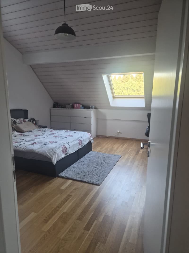 Großes Apartment 2½ in Montblesson (4)