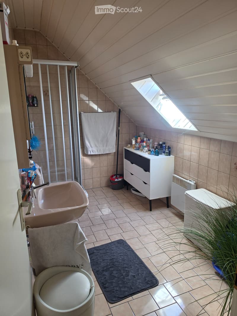 Appartement à louer, 2,5 pièces (5)