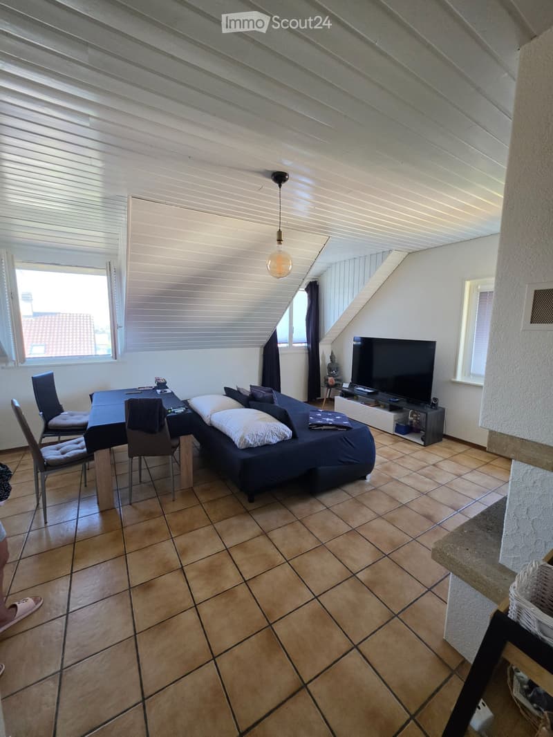 Appartement à louer, 2,5 pièces (3)