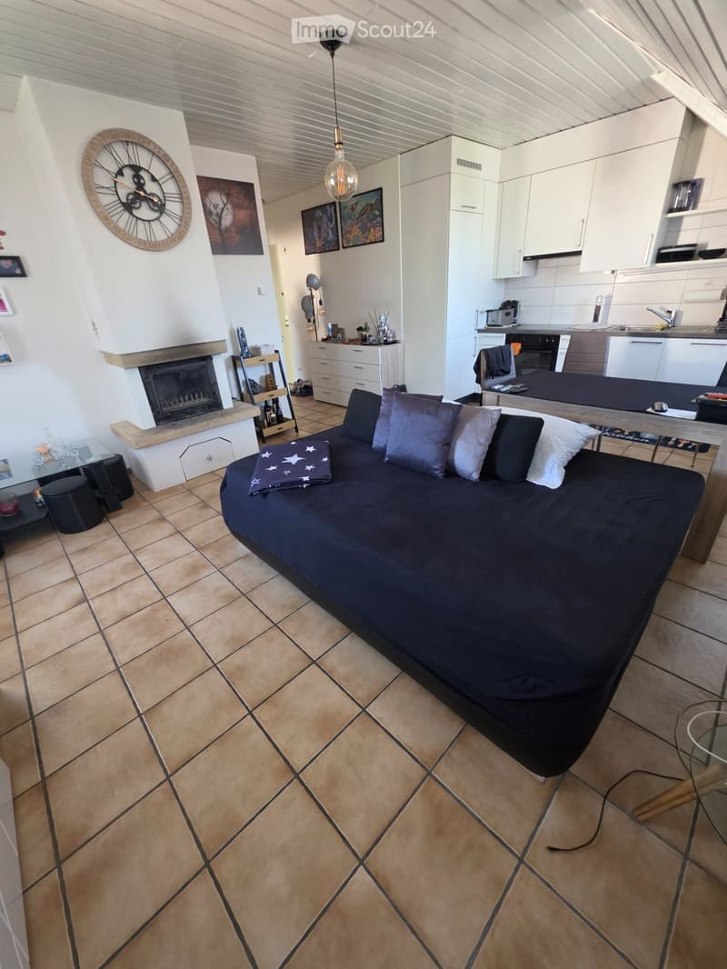 Appartement à louer, 2,5 pièces (2)