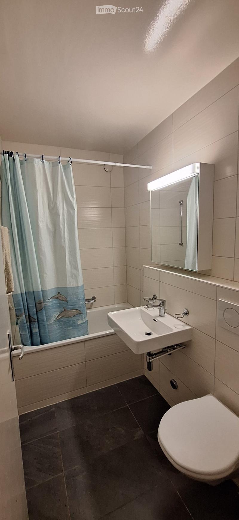 Magnifique appartement à louer pour le 1er septembre (2)