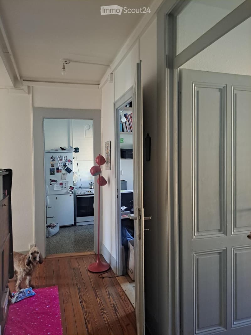 3,5 pièces à remettre 1er Août (10)