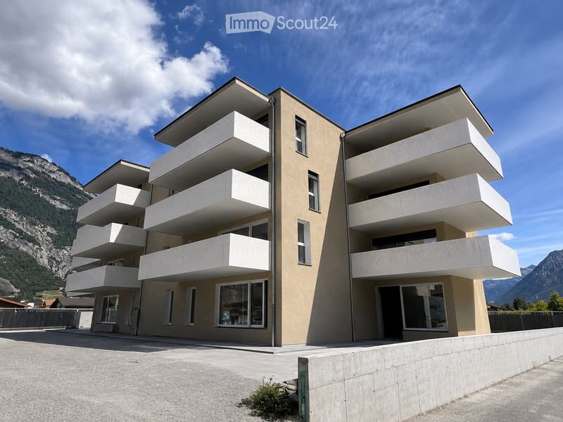 Appartement neuf de 2.5 pièces à louer (1)