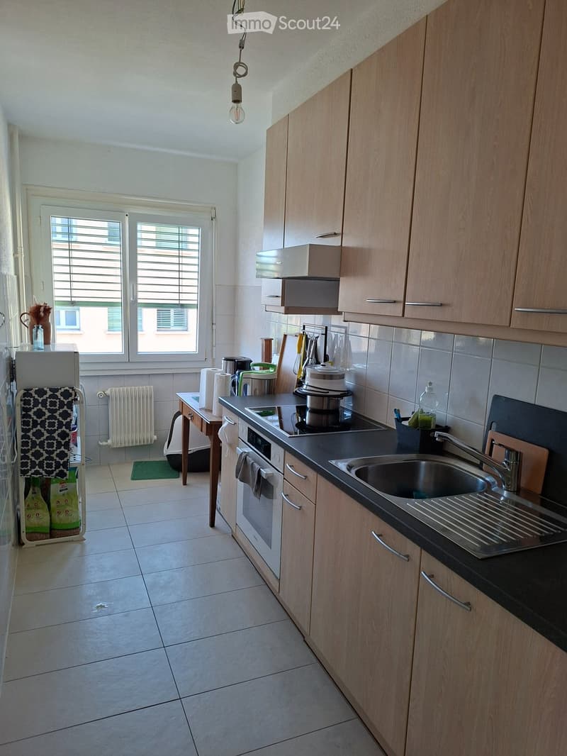 Sublet beautiful apartment Lausanne (5)