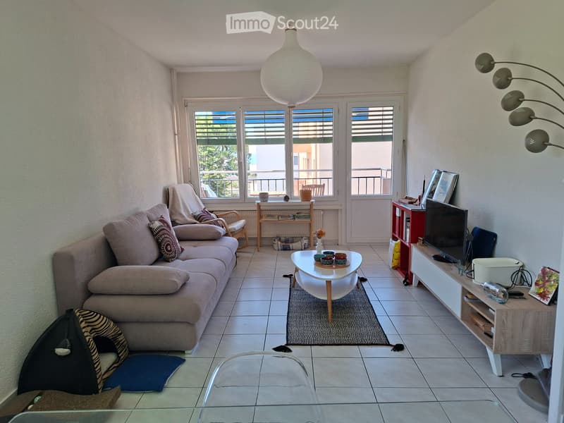 Sublet beautiful apartment Lausanne (3)