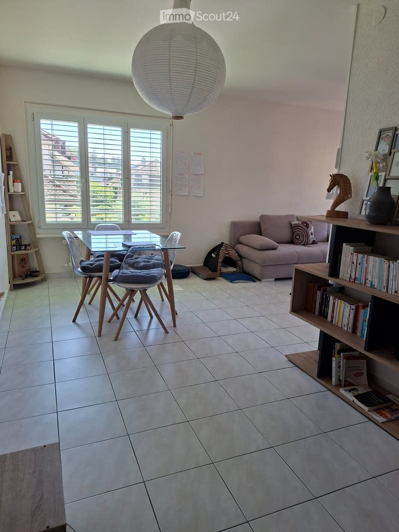 Sublet beautiful apartment Lausanne (2)