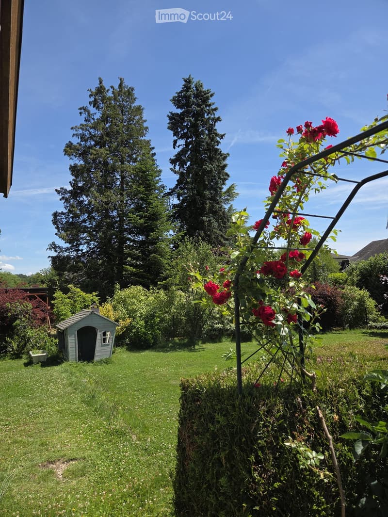 Echallens à louer (4)